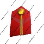 Air Force gorget patches military rank