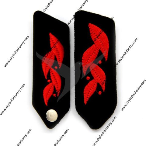 Generals wear gorget patches