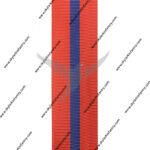 king sobhuza medal ribbon