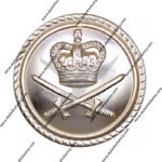 Royal queens crown anodized aluminum button