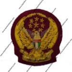 UAE army badge