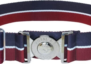 Royal Air Force Stable Belt